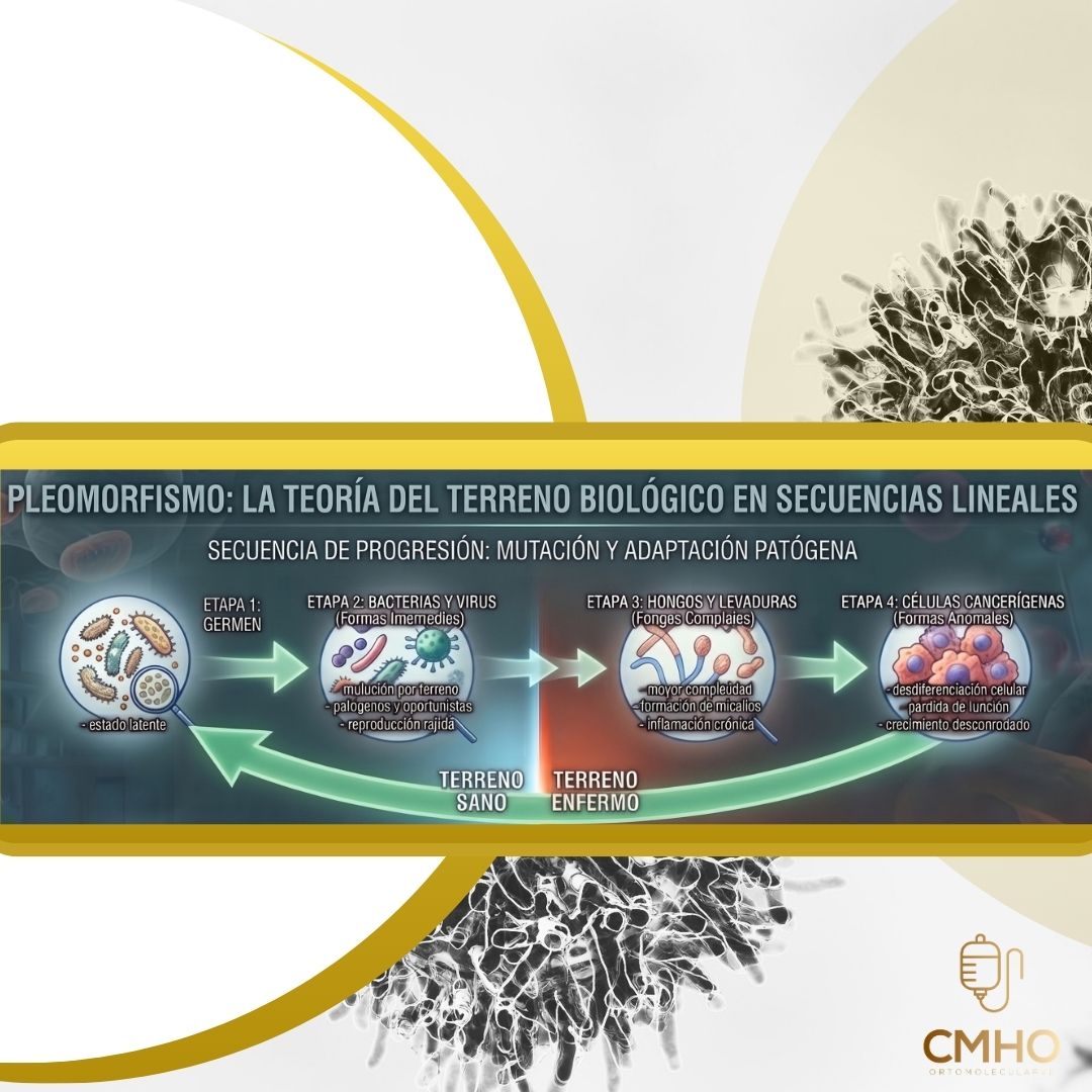 Las bacterias parte II…..
